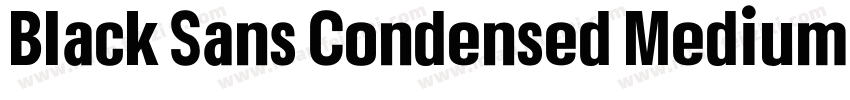 Black Sans Condensed Medium Regular字体转换